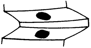 FX݆͜(zhn)pX݆g(sh)Zӹ݆X|zԇ