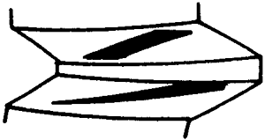 FX݆͜(zhn)pX݆g(sh)Zӹ݆X|zԇ