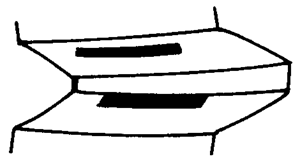 FX݆͜(zhn)pX݆g(sh)Zӹ݆X|zԇ